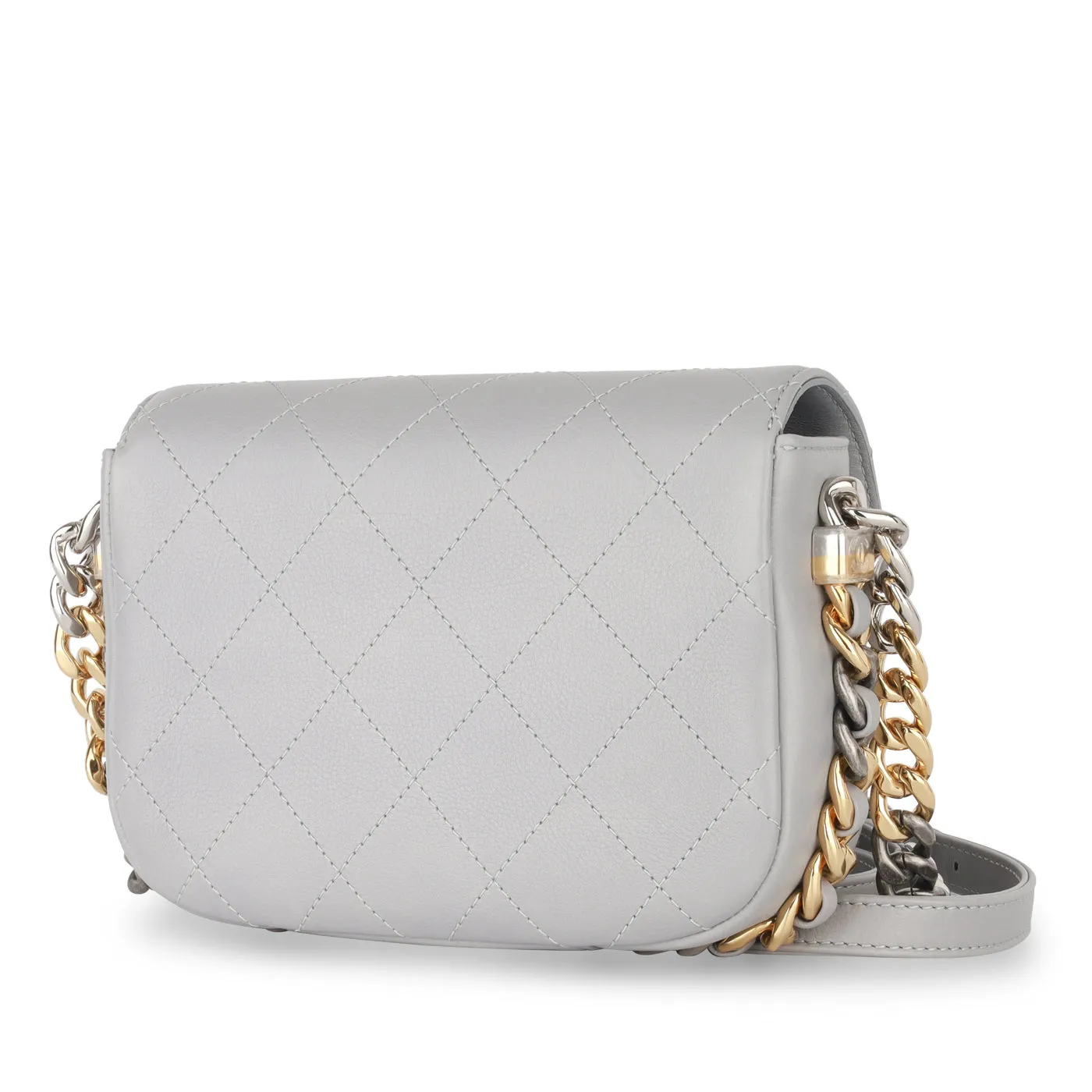 Chanel Seasonal Chain Flap Bag (NWT)