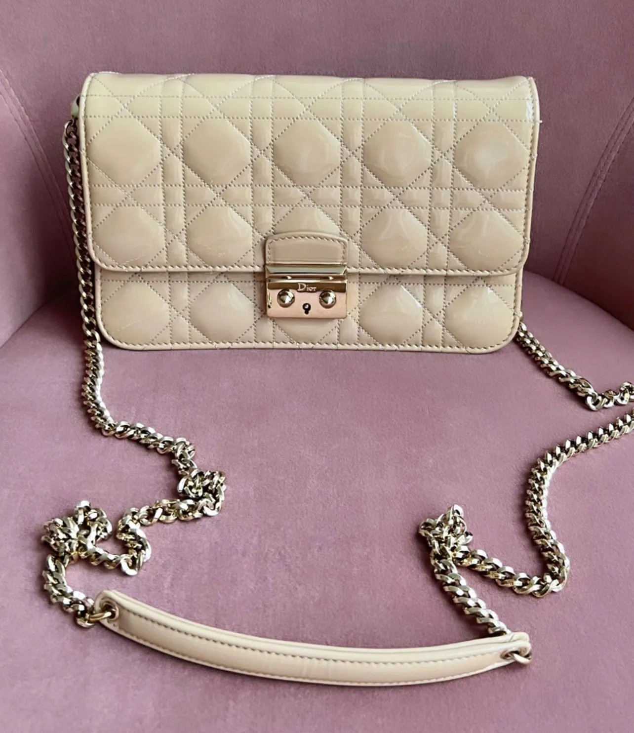 Christian Dior Promenade Bag