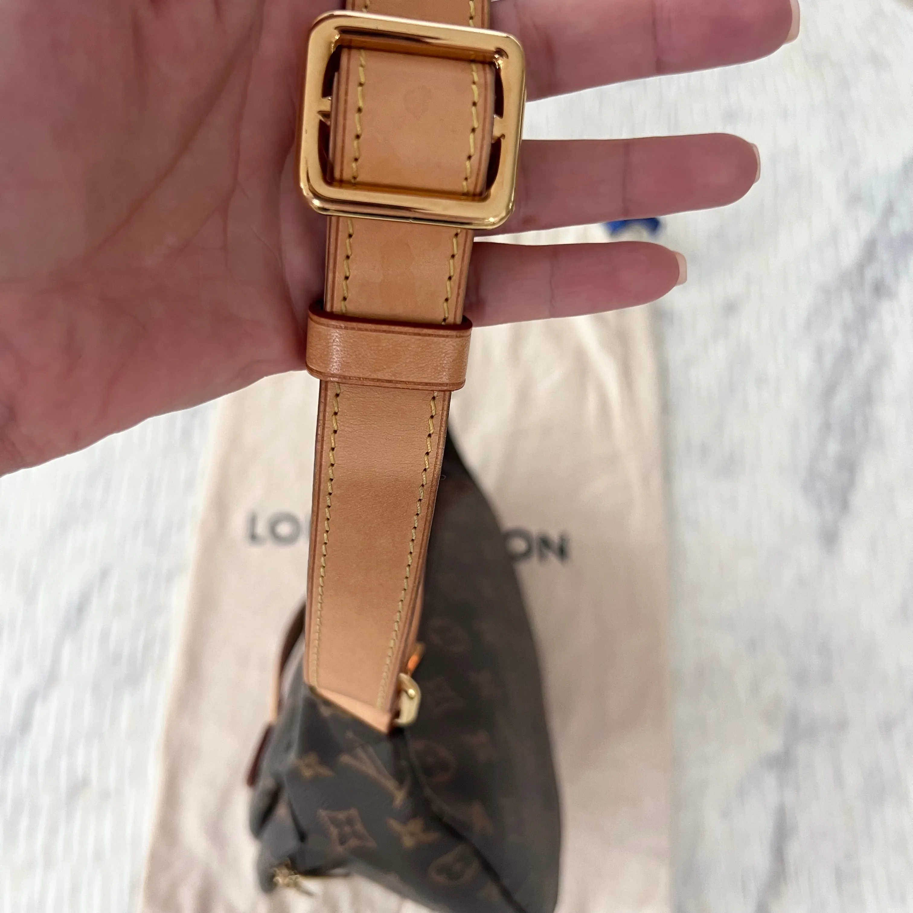 Louis Vuitton Bum Bag