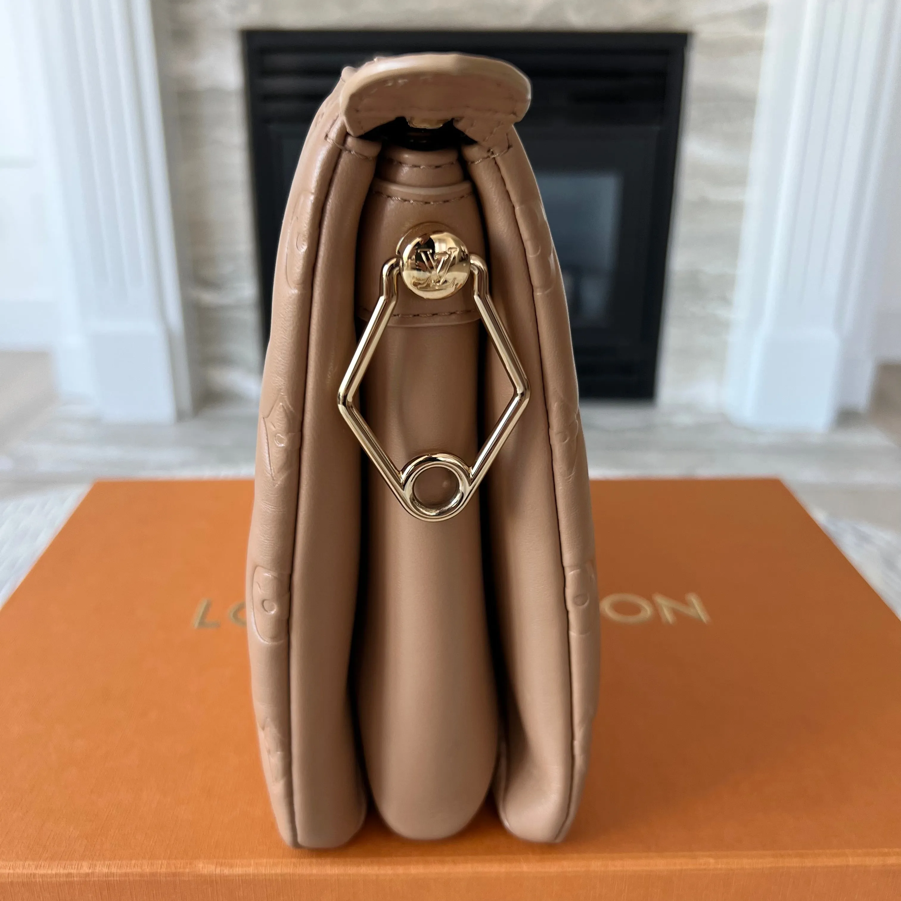 Louis Vuitton Coussin Bag