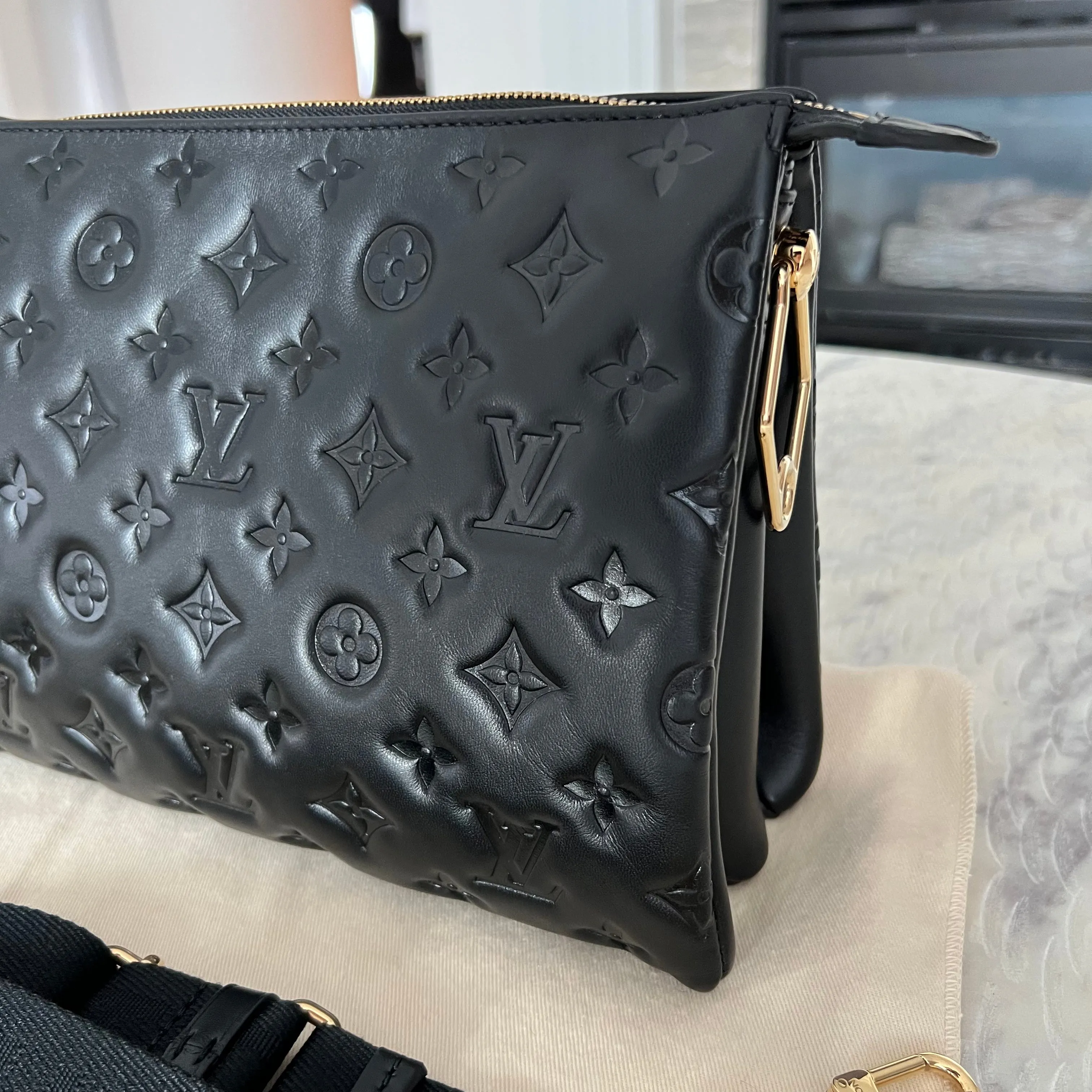 Louis Vuitton Coussin Bag