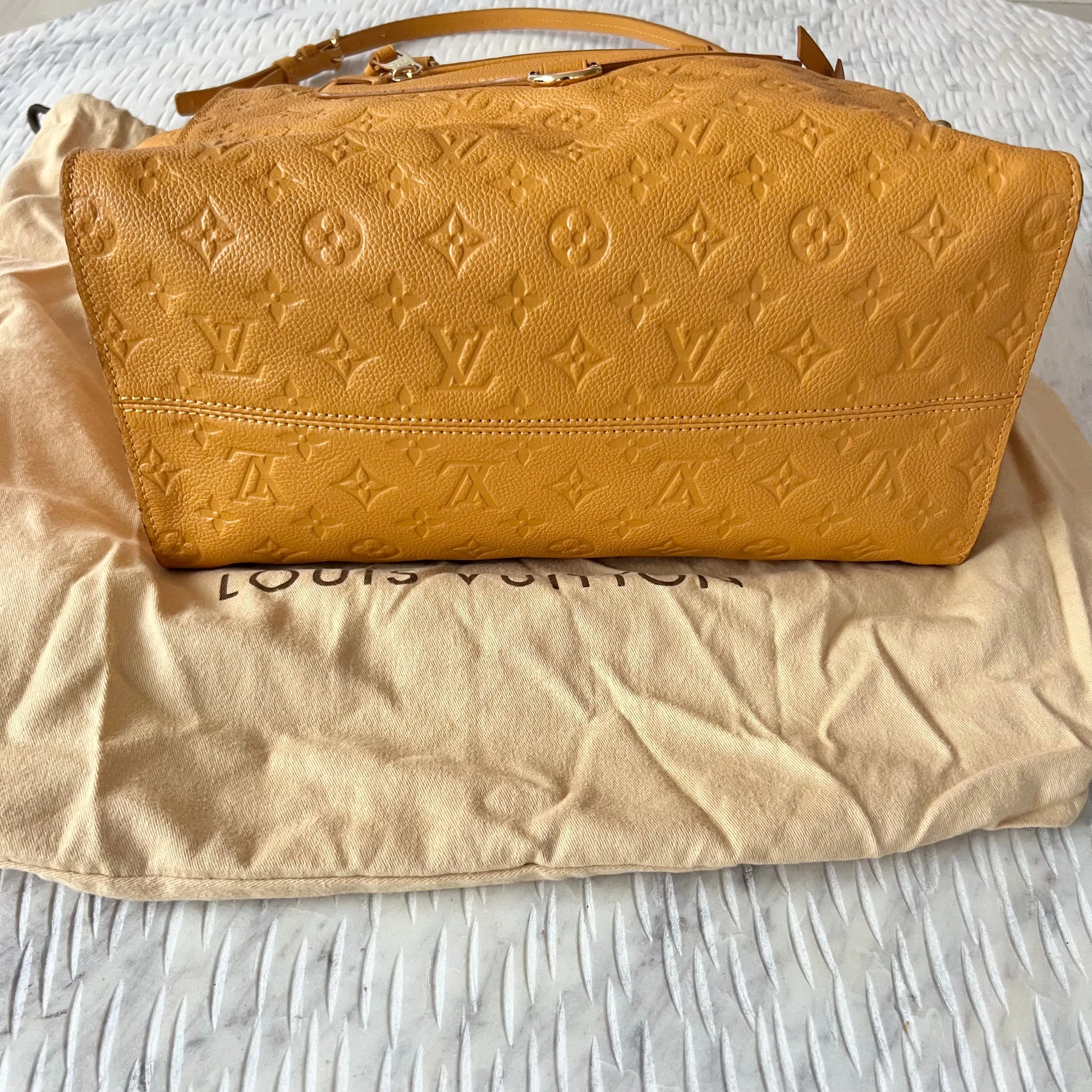 Louis Vuitton Lumineuse Bag