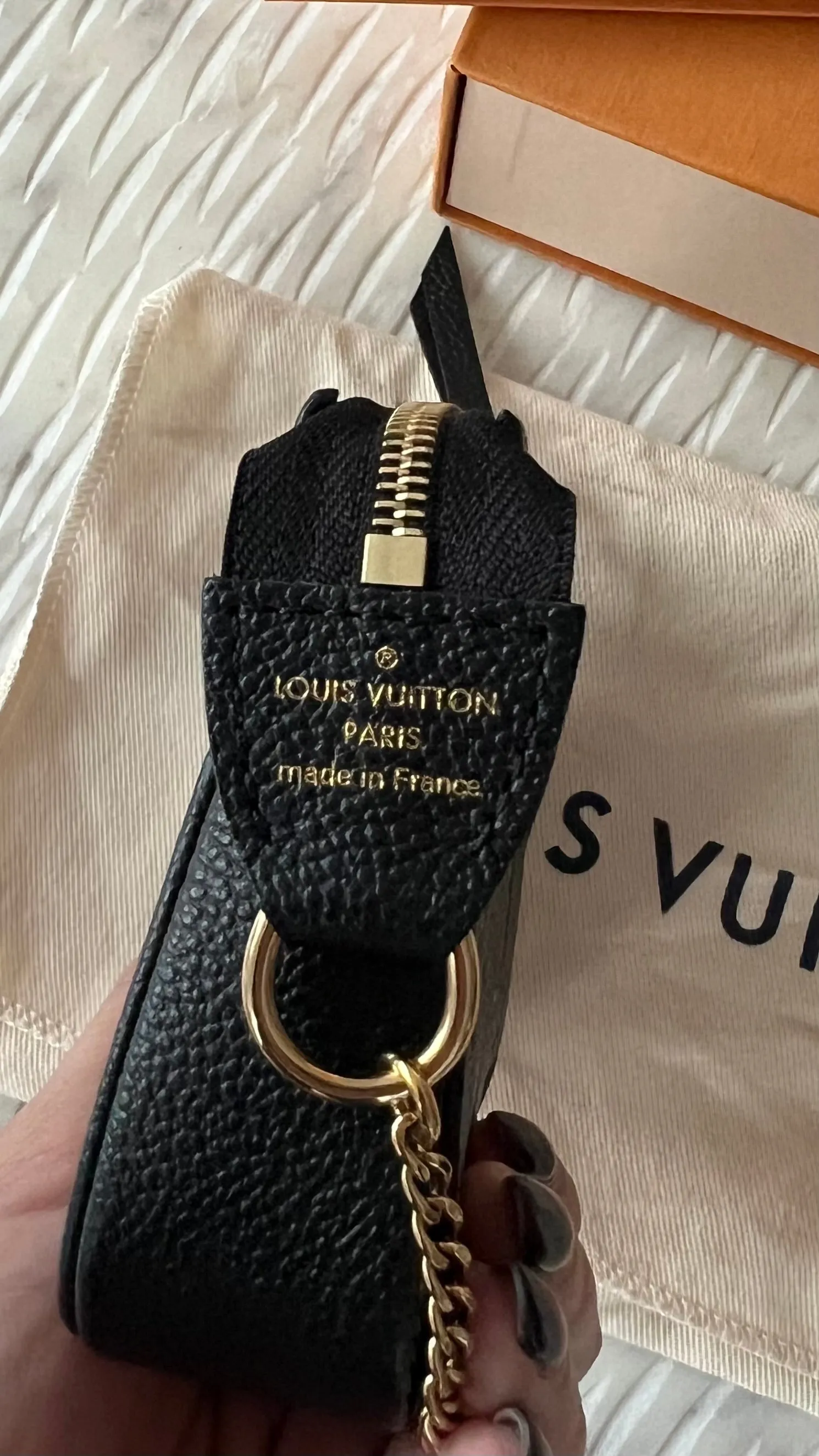 Louis Vuitton Mini Pochette Accessories Bag