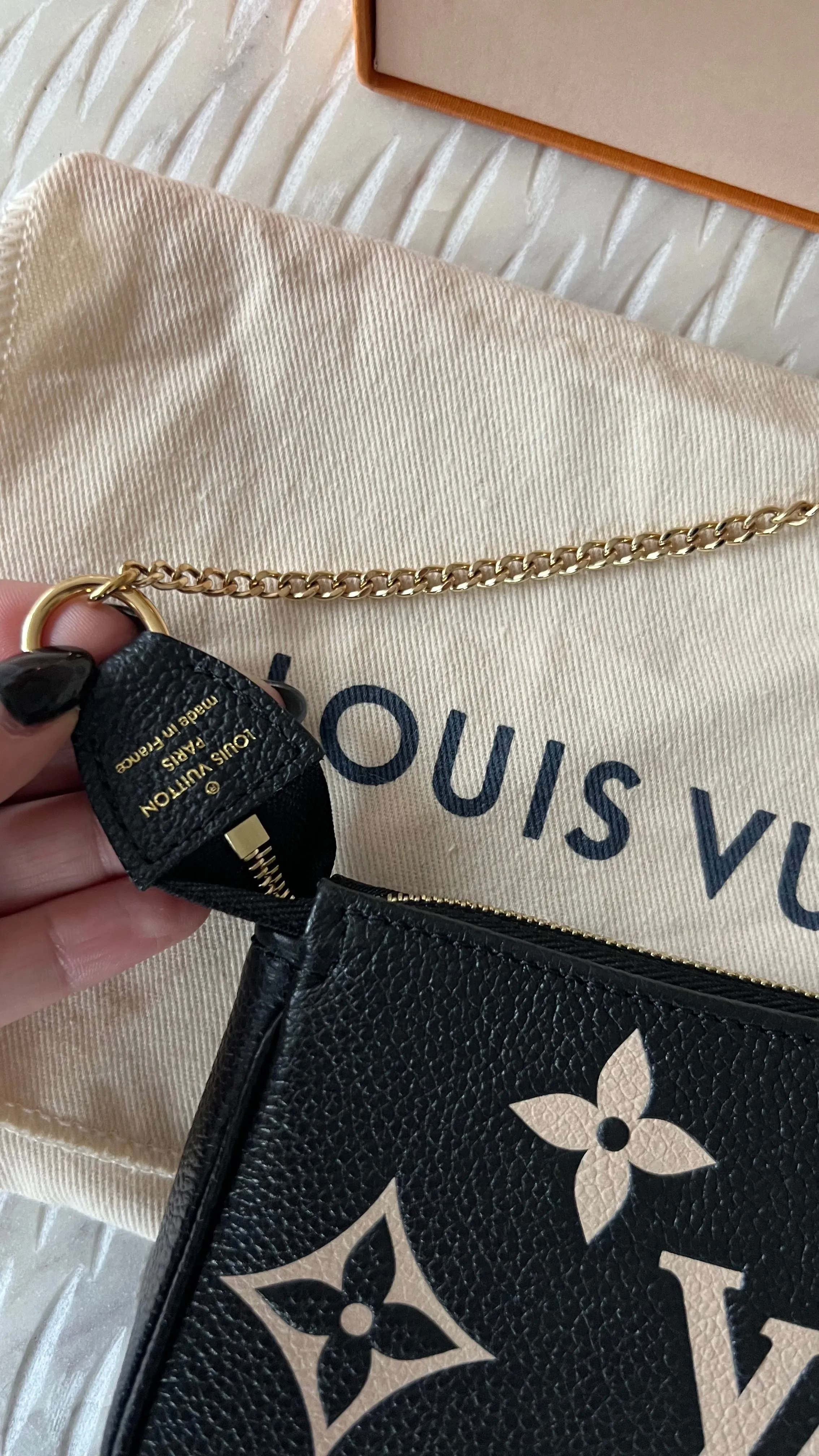 Louis Vuitton Mini Pochette Accessories Bag