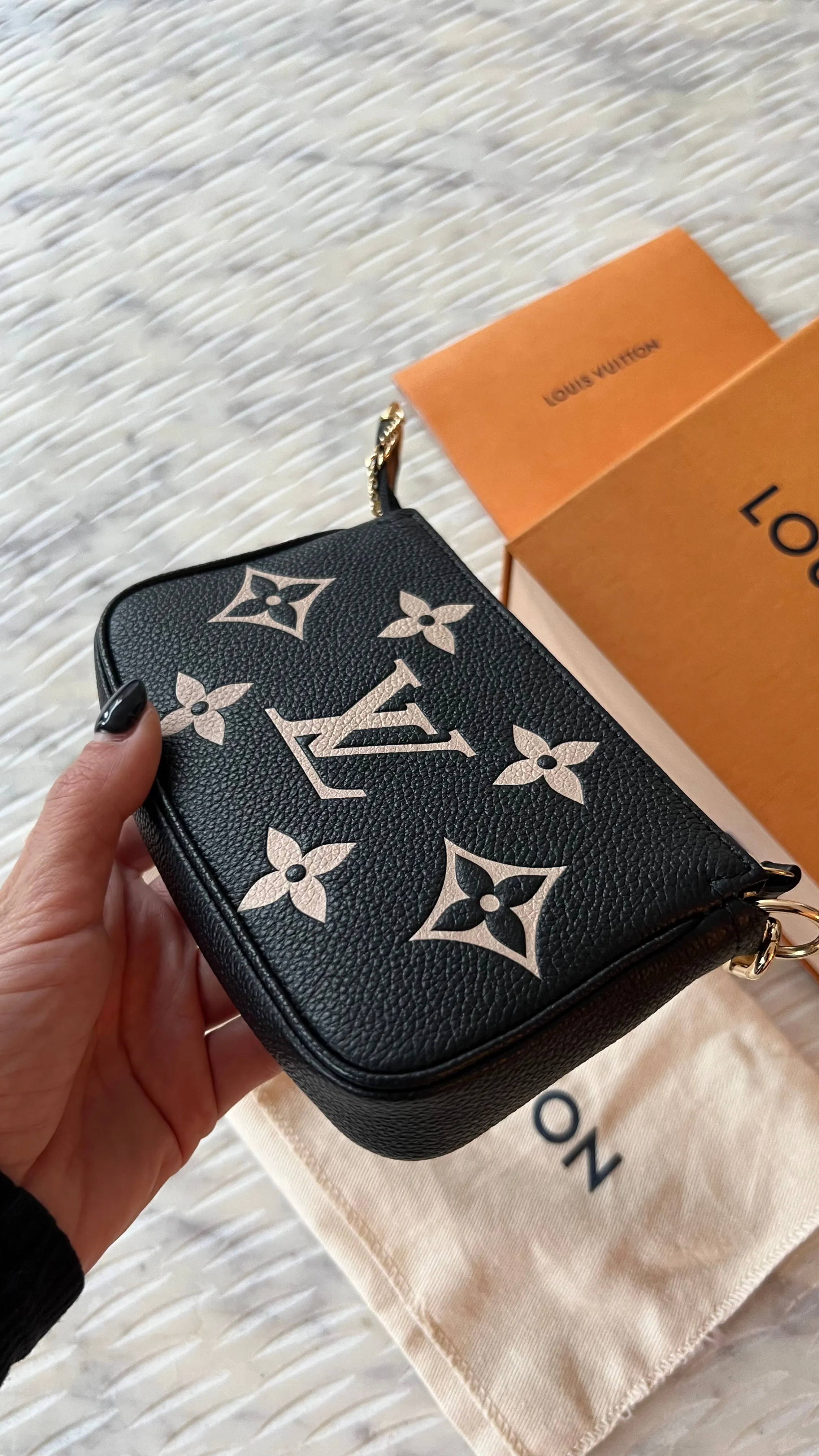 Louis Vuitton Mini Pochette Accessories Bag