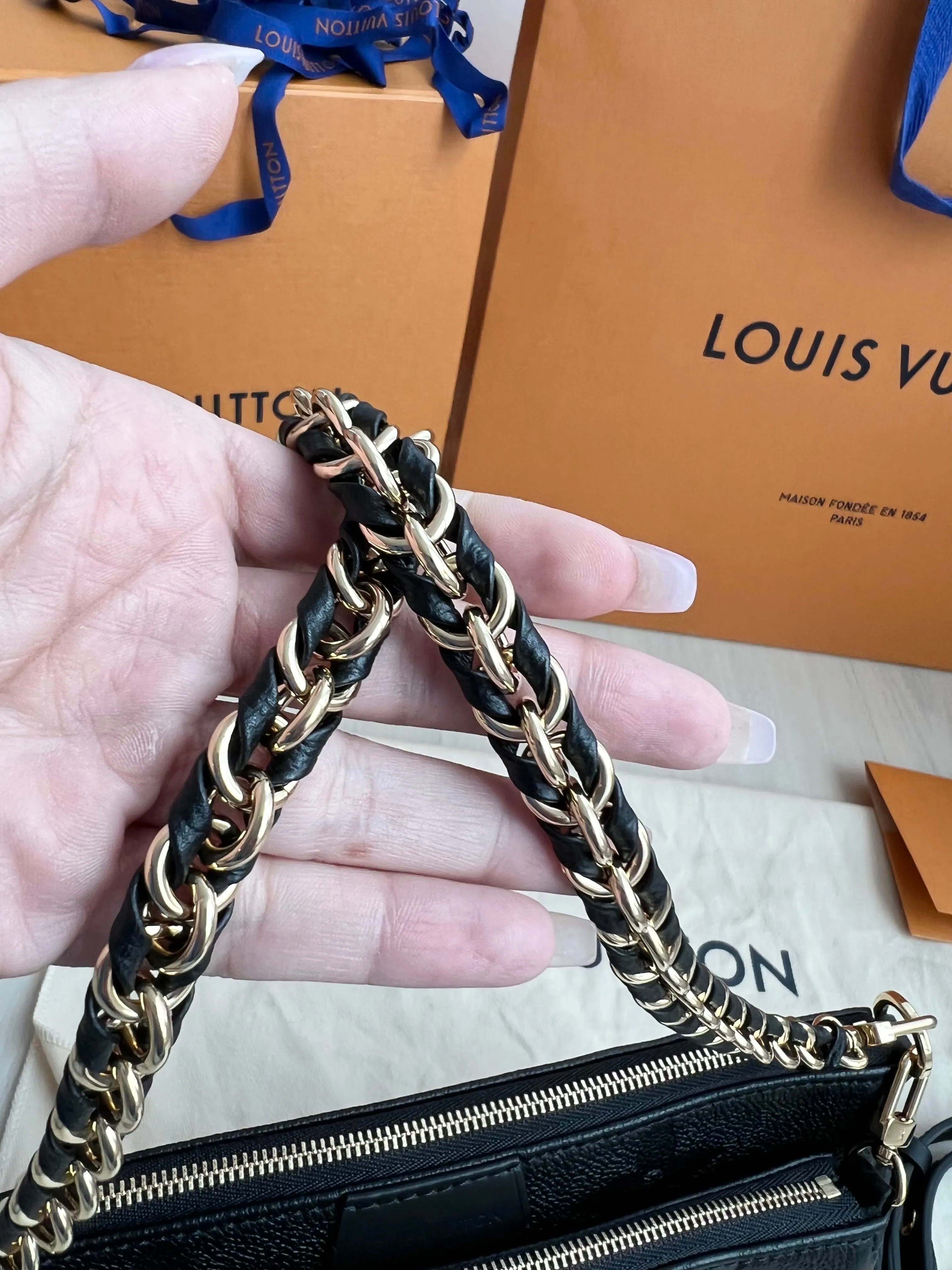 Louis Vuitton Multi Pochette Accessories Bag