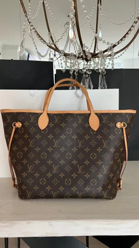 Louis Vuitton Neverfull Bag