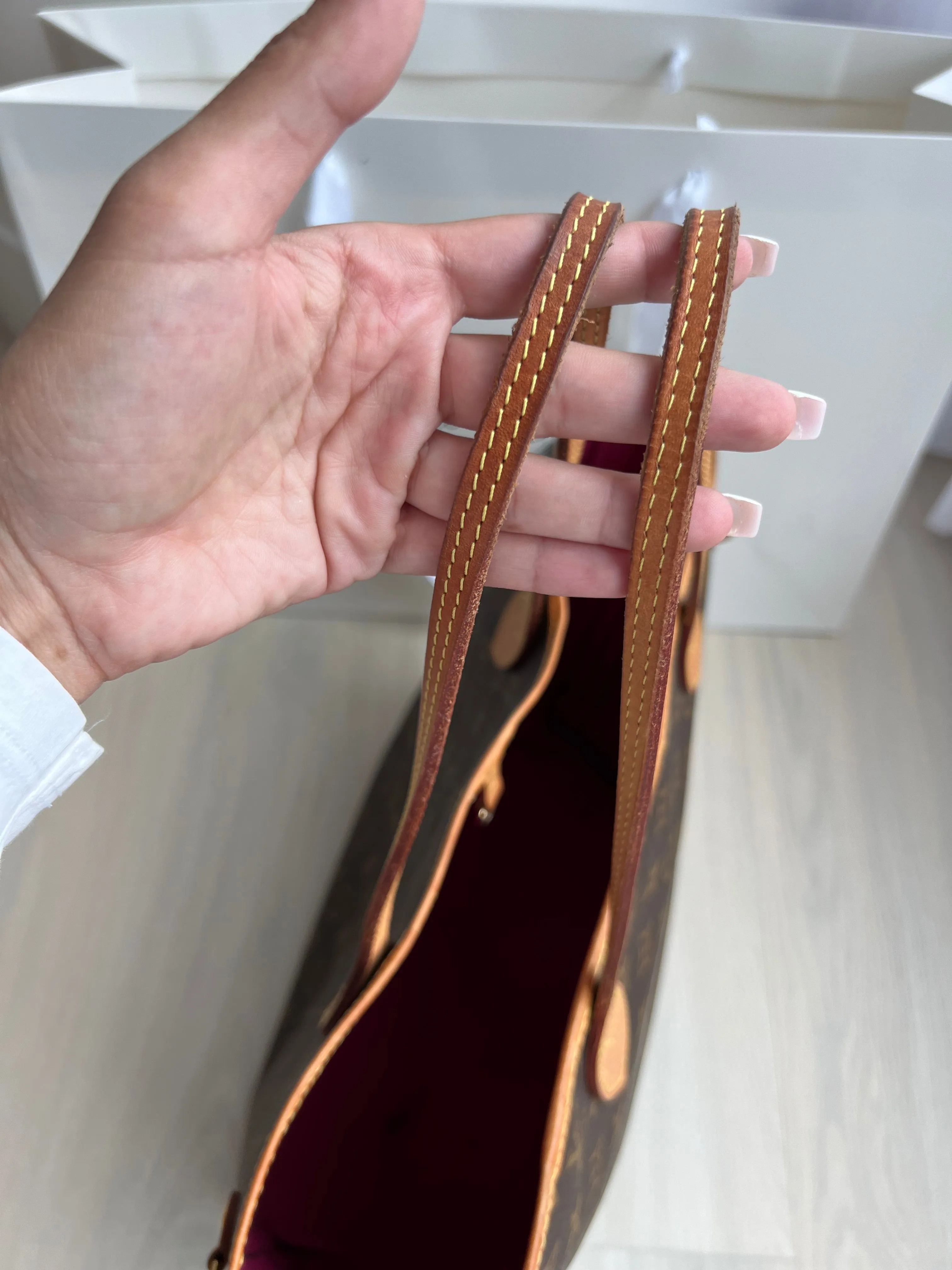 Louis Vuitton Neverfull Bag