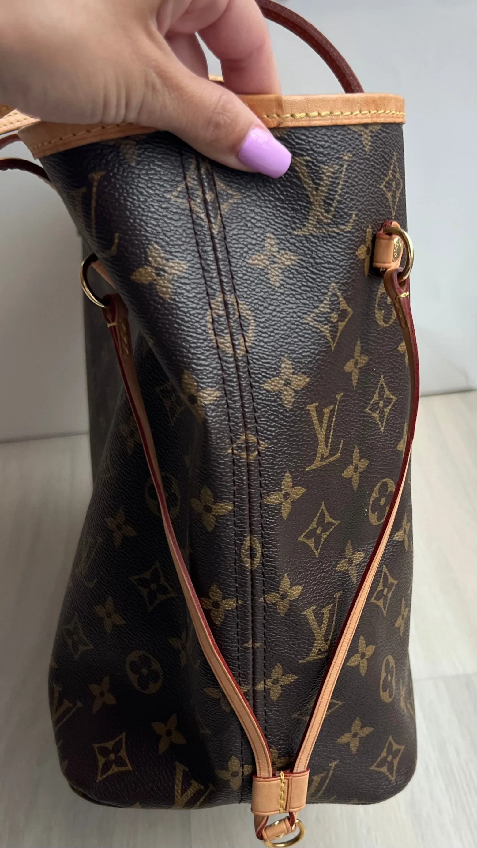 Louis Vuitton Neverfull Bag