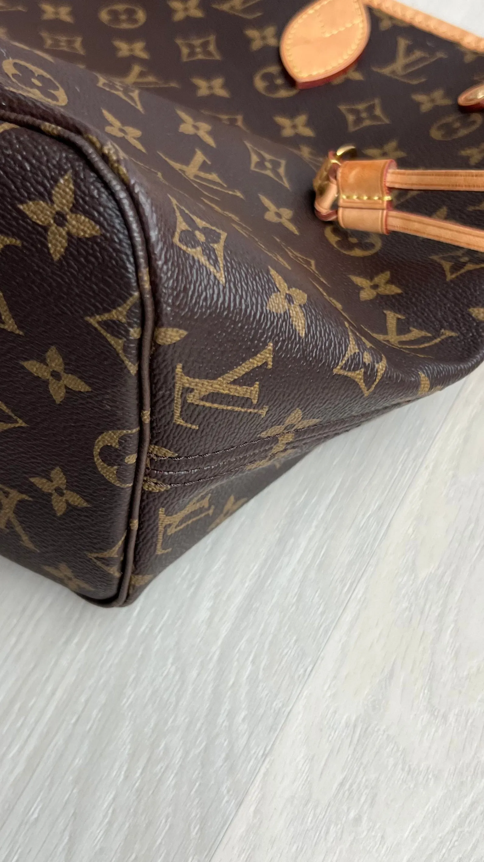 Louis Vuitton Neverfull Bag