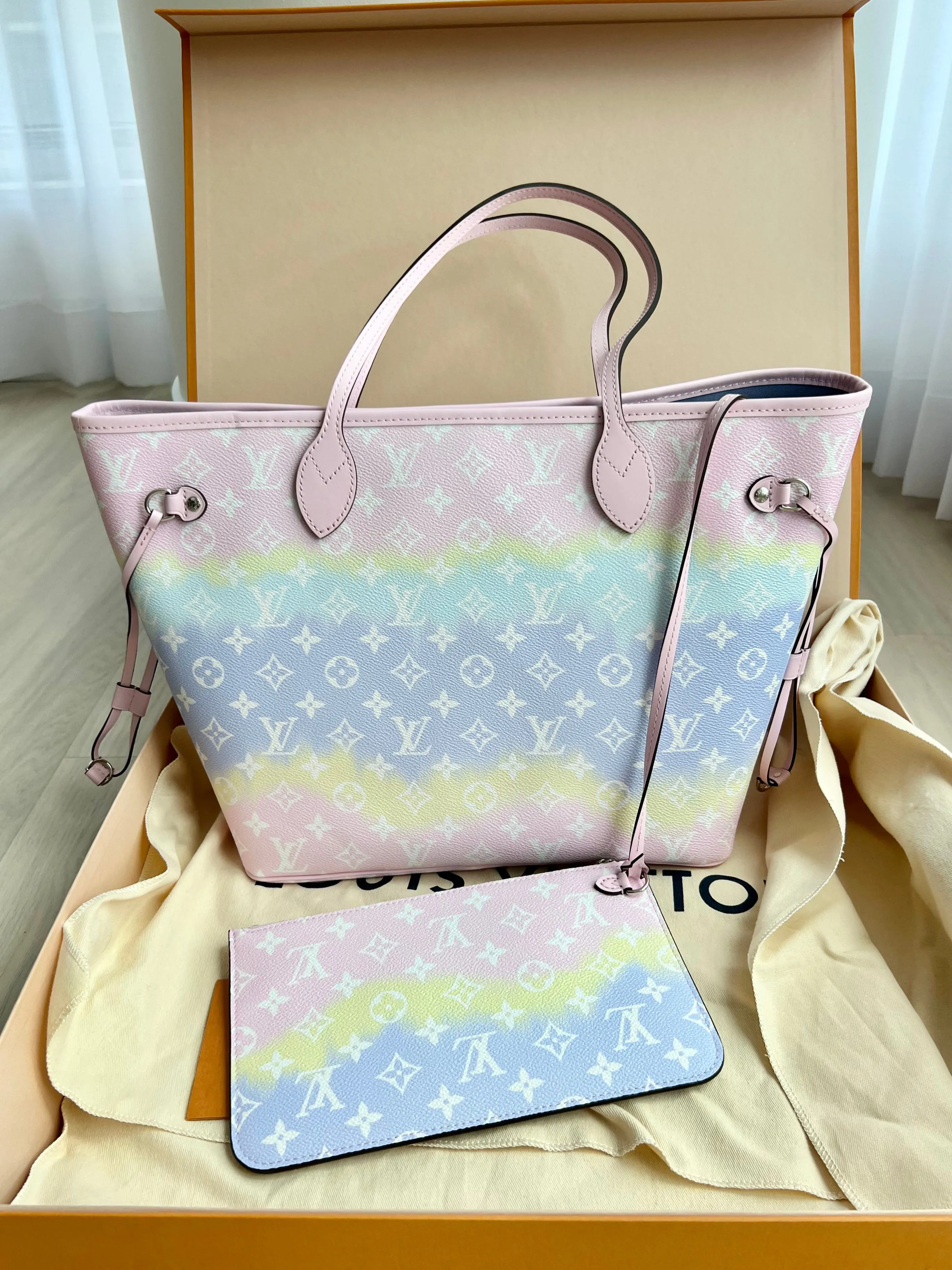 Louis Vuitton Neverfull Bag