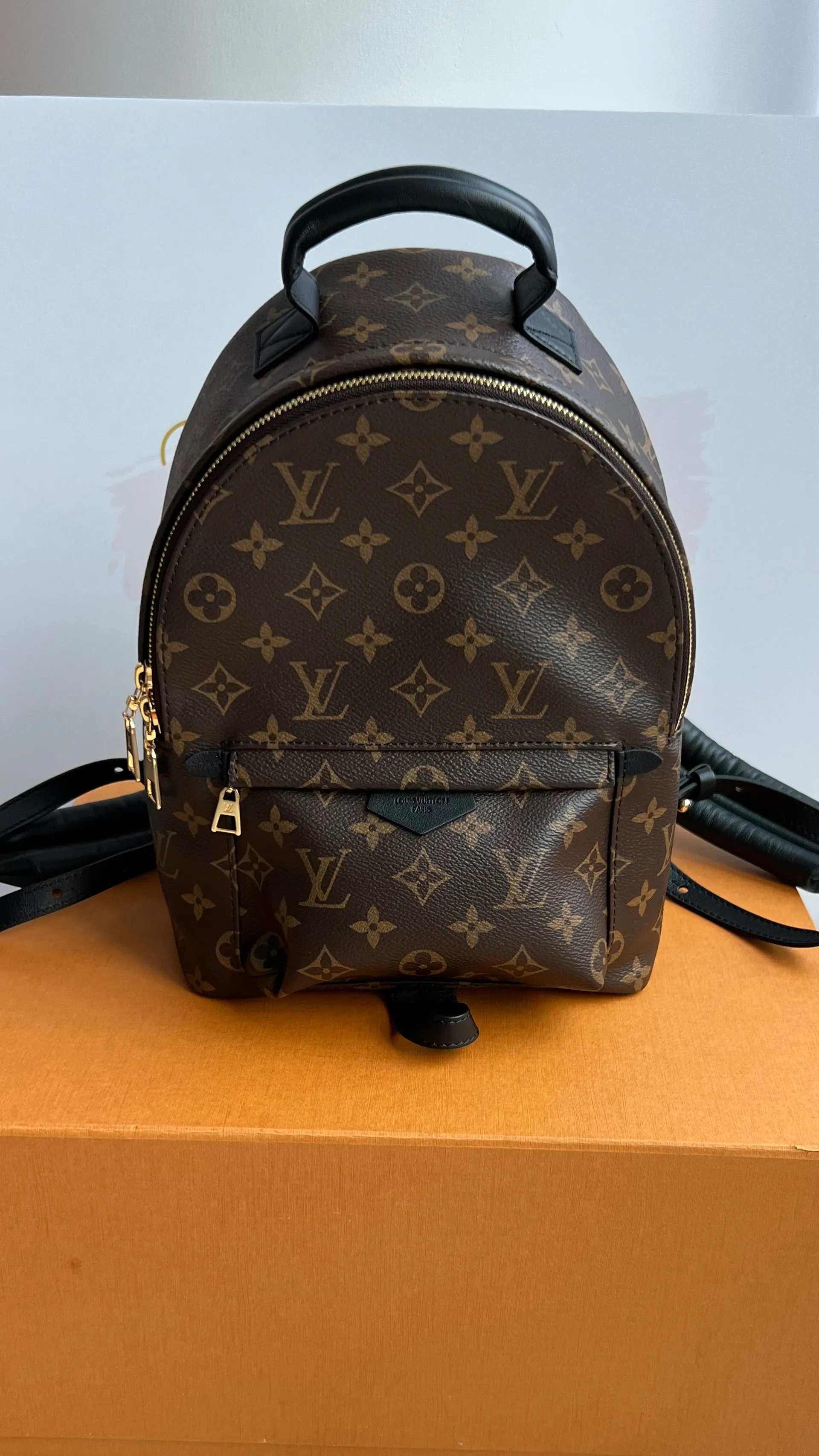 Louis Vuitton Palm Springs Bag