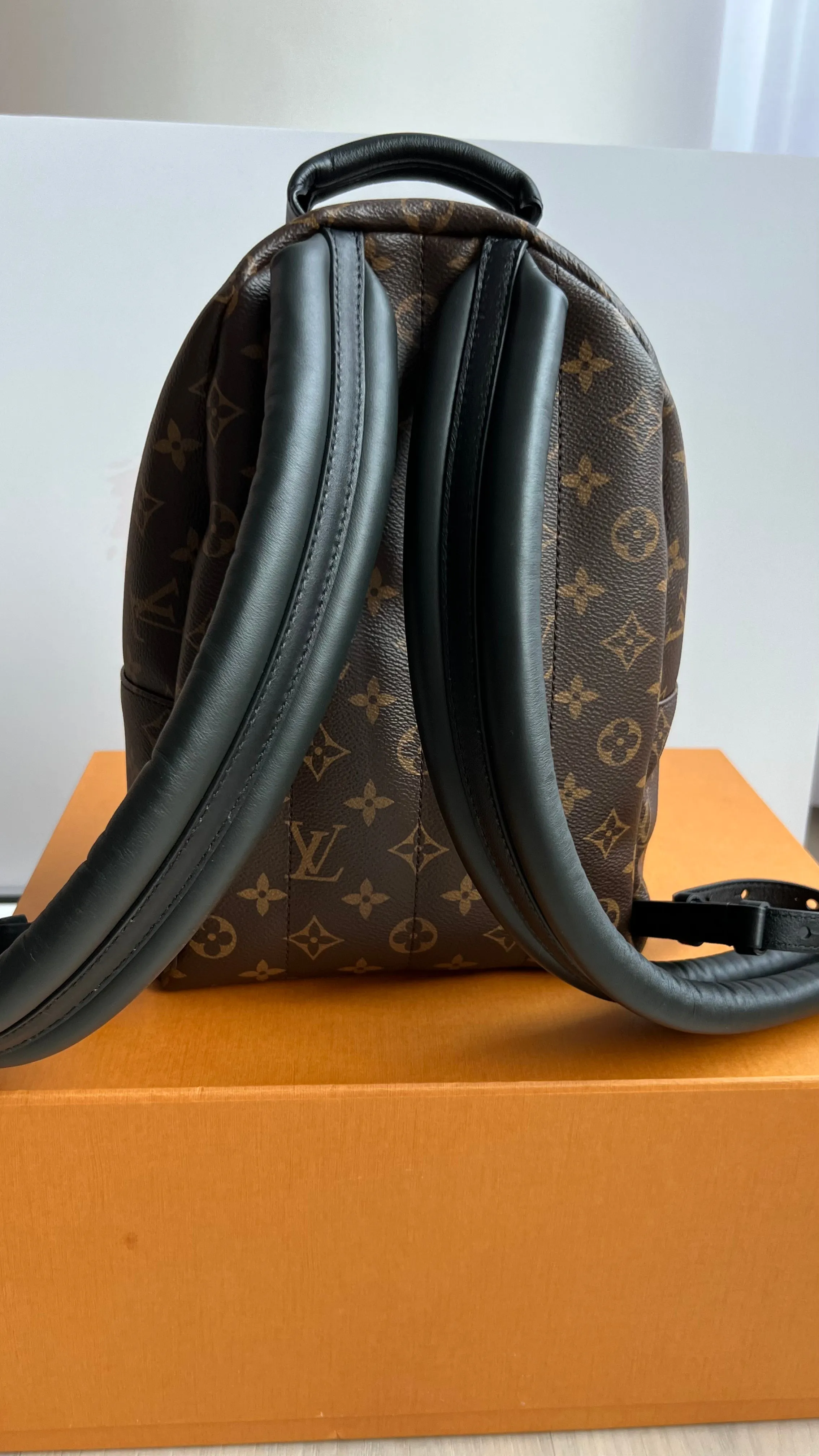 Louis Vuitton Palm Springs Bag