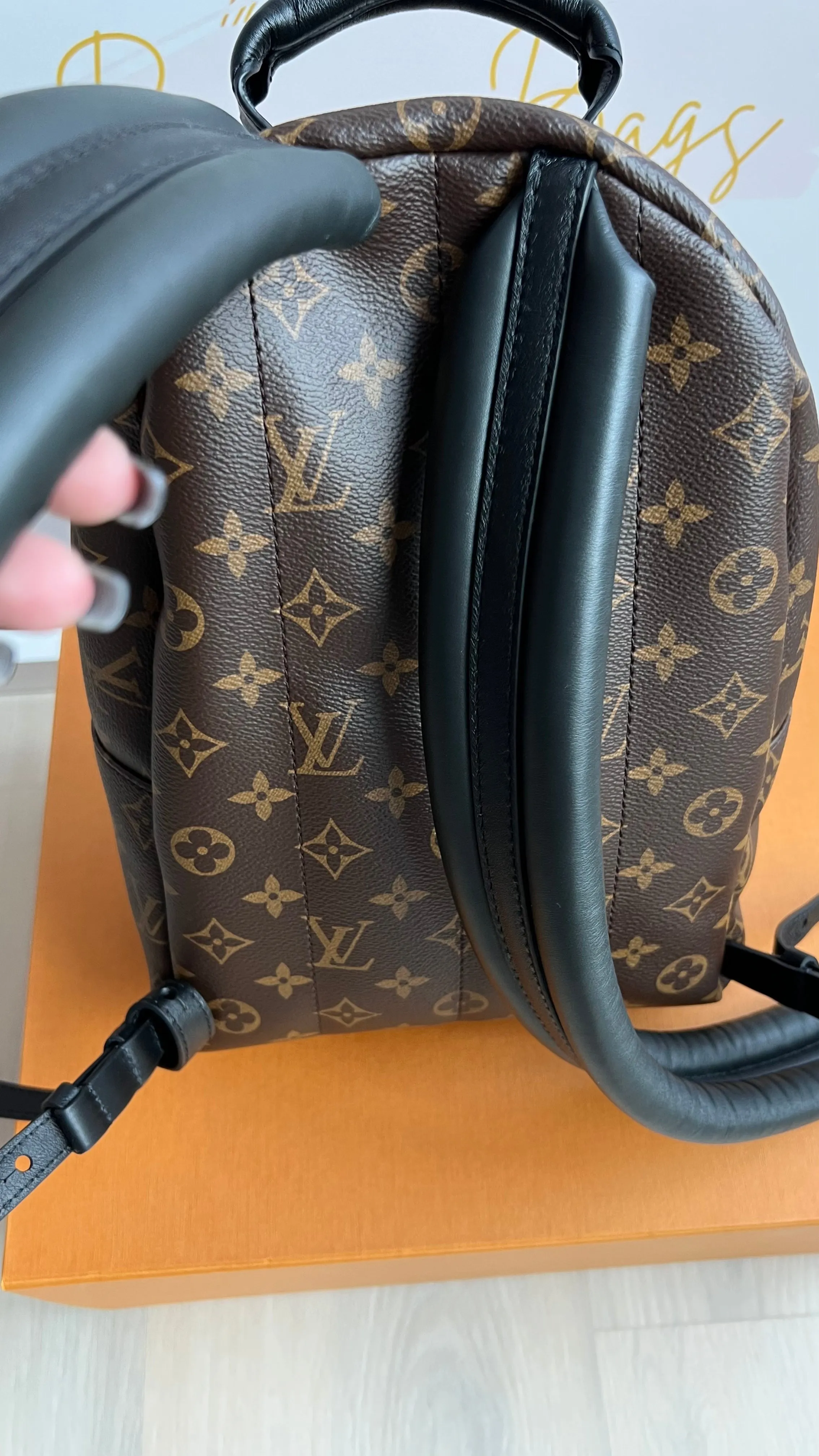 Louis Vuitton Palm Springs Bag