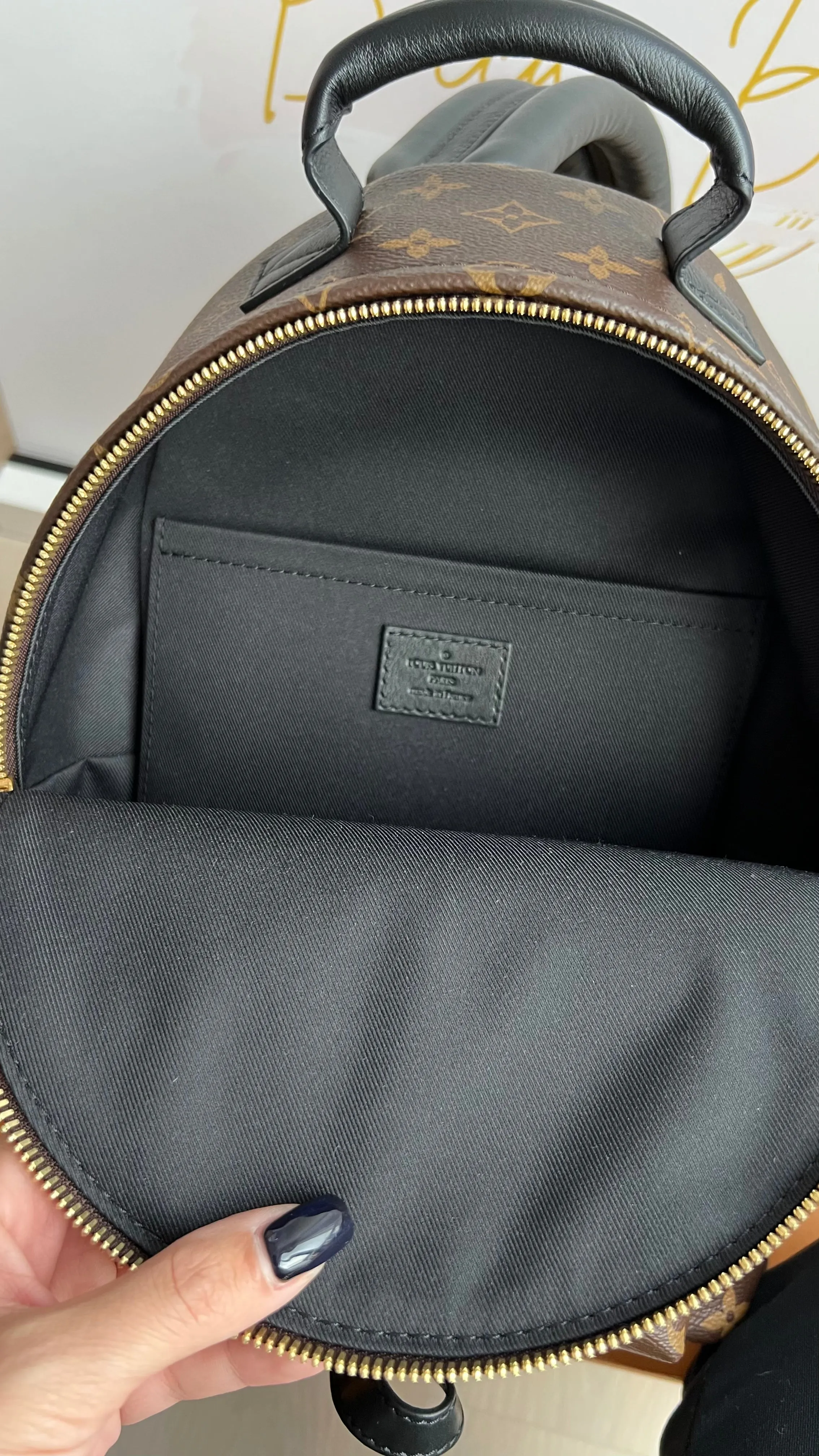 Louis Vuitton Palm Springs Bag