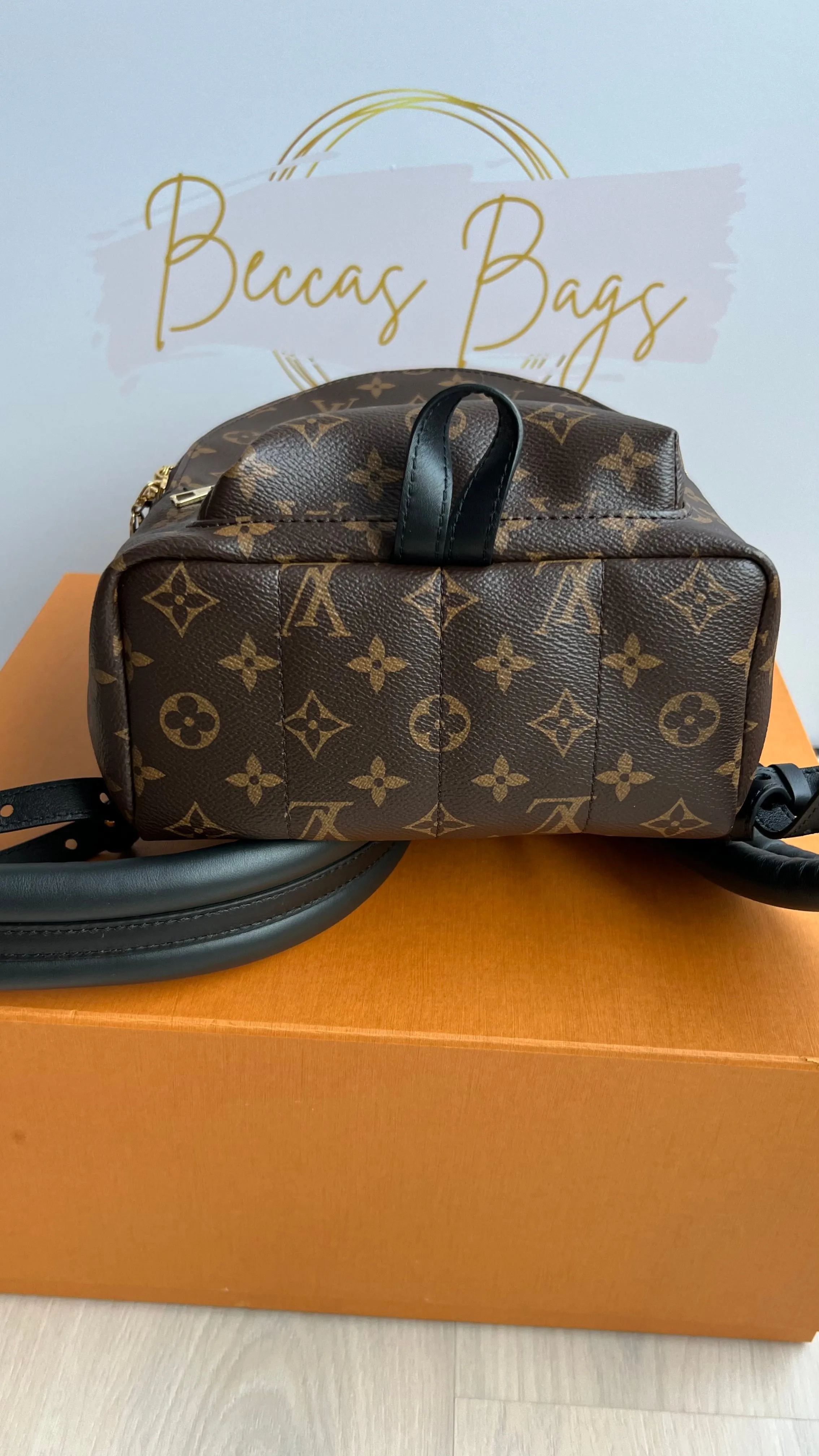 Louis Vuitton Palm Springs Bag