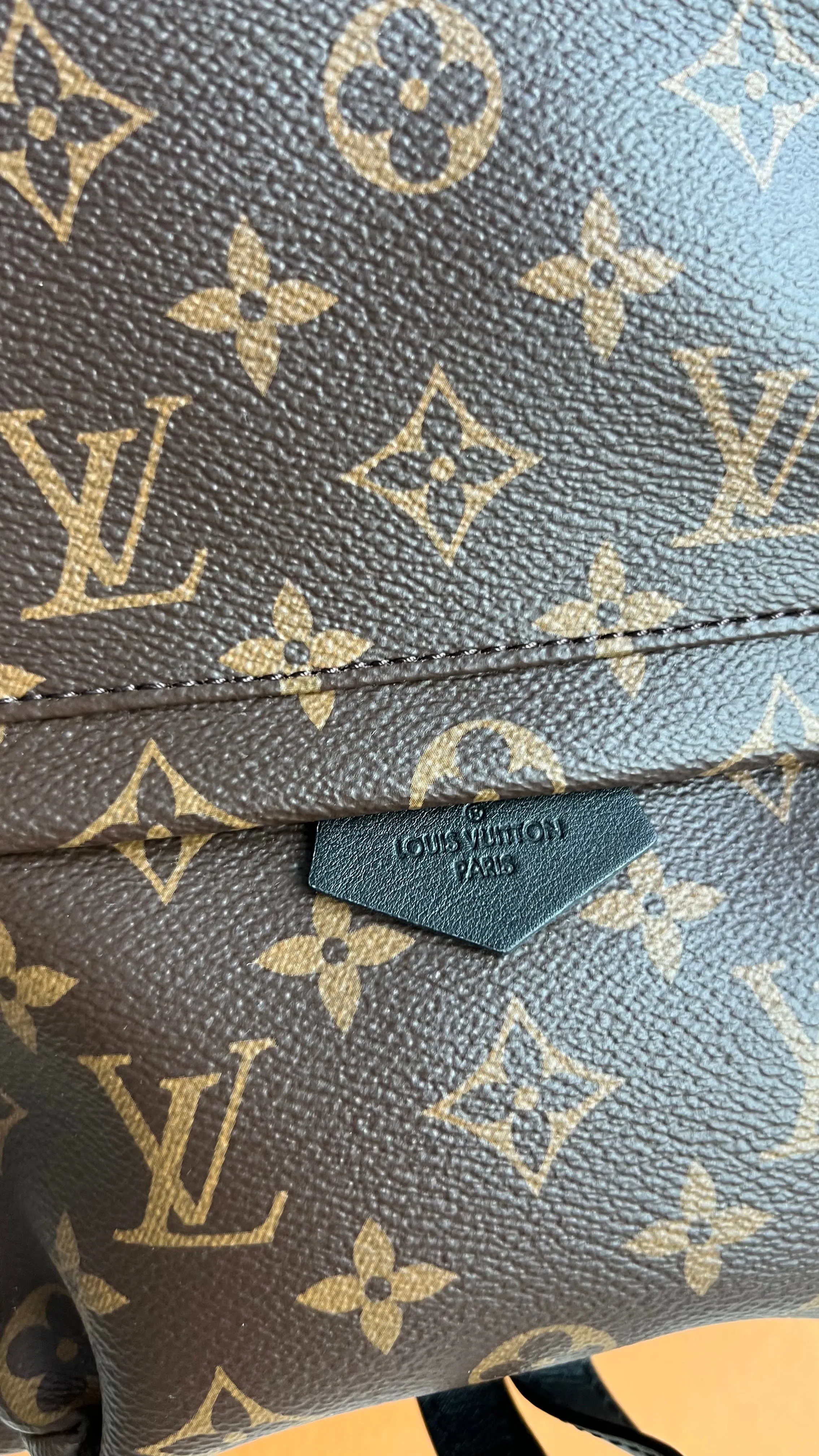 Louis Vuitton Palm Springs Bag