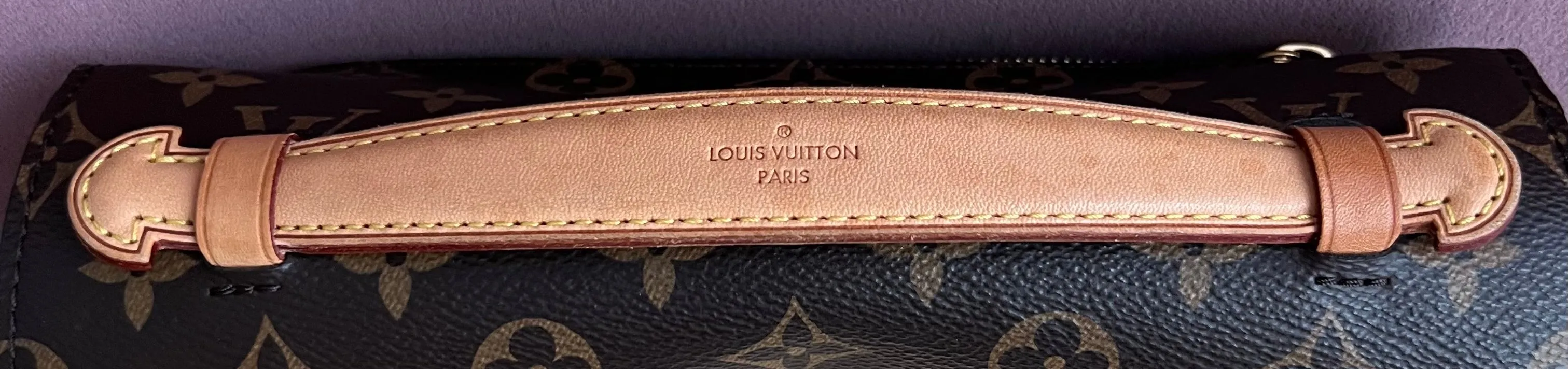 Louis Vuitton Pochette Metis Bag