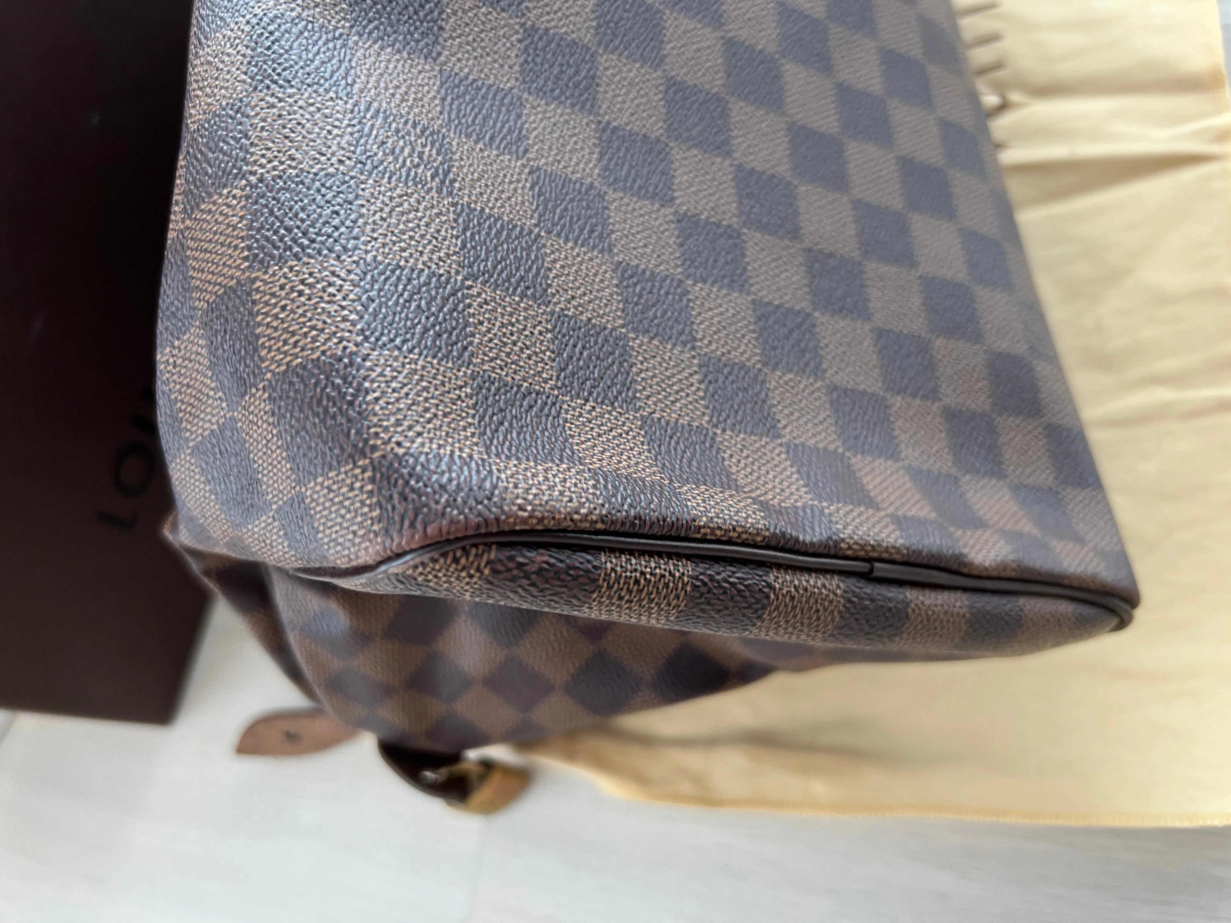 Louis Vuitton Speedy Bag