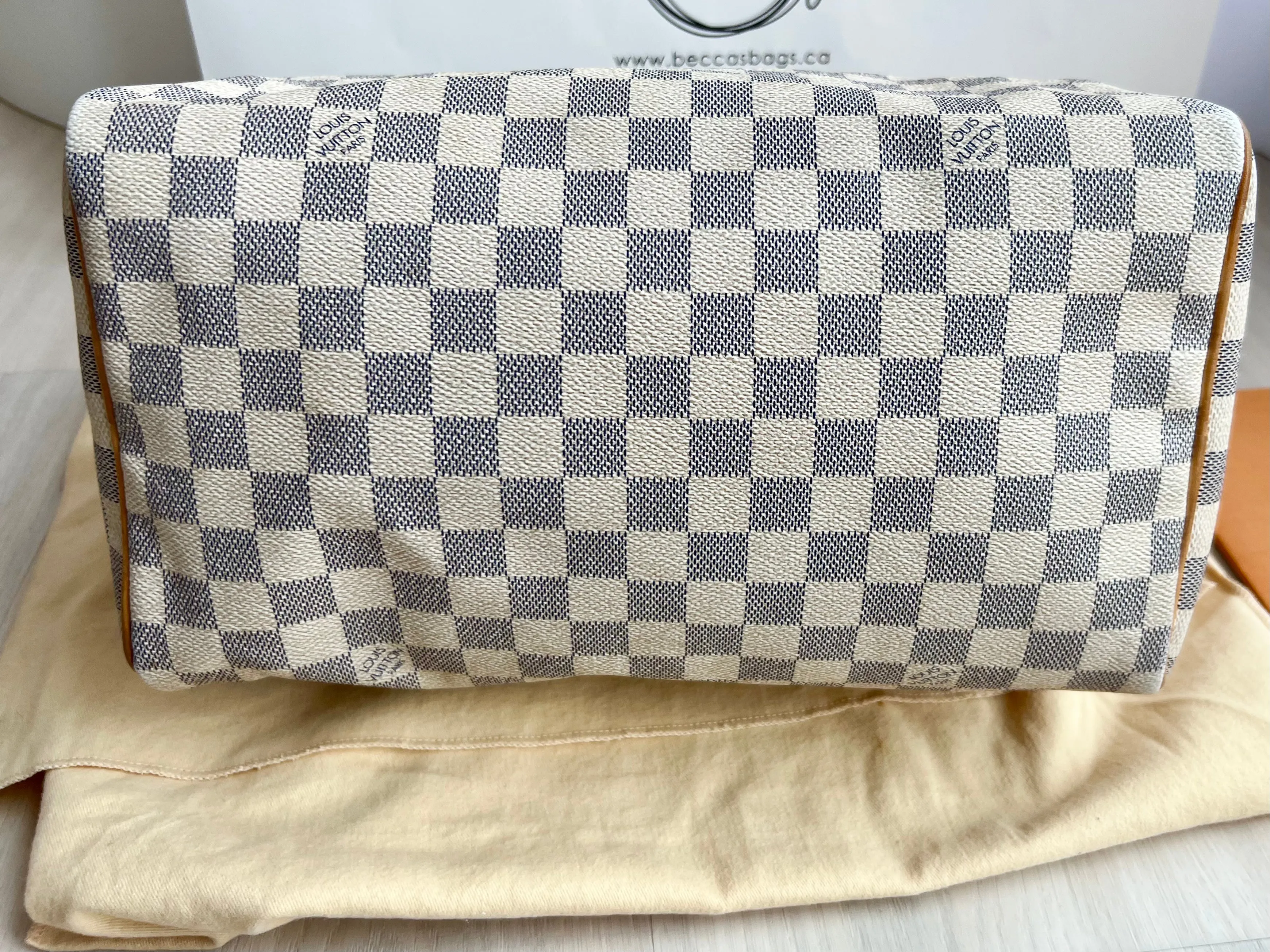 Louis Vuitton Speedy Bag