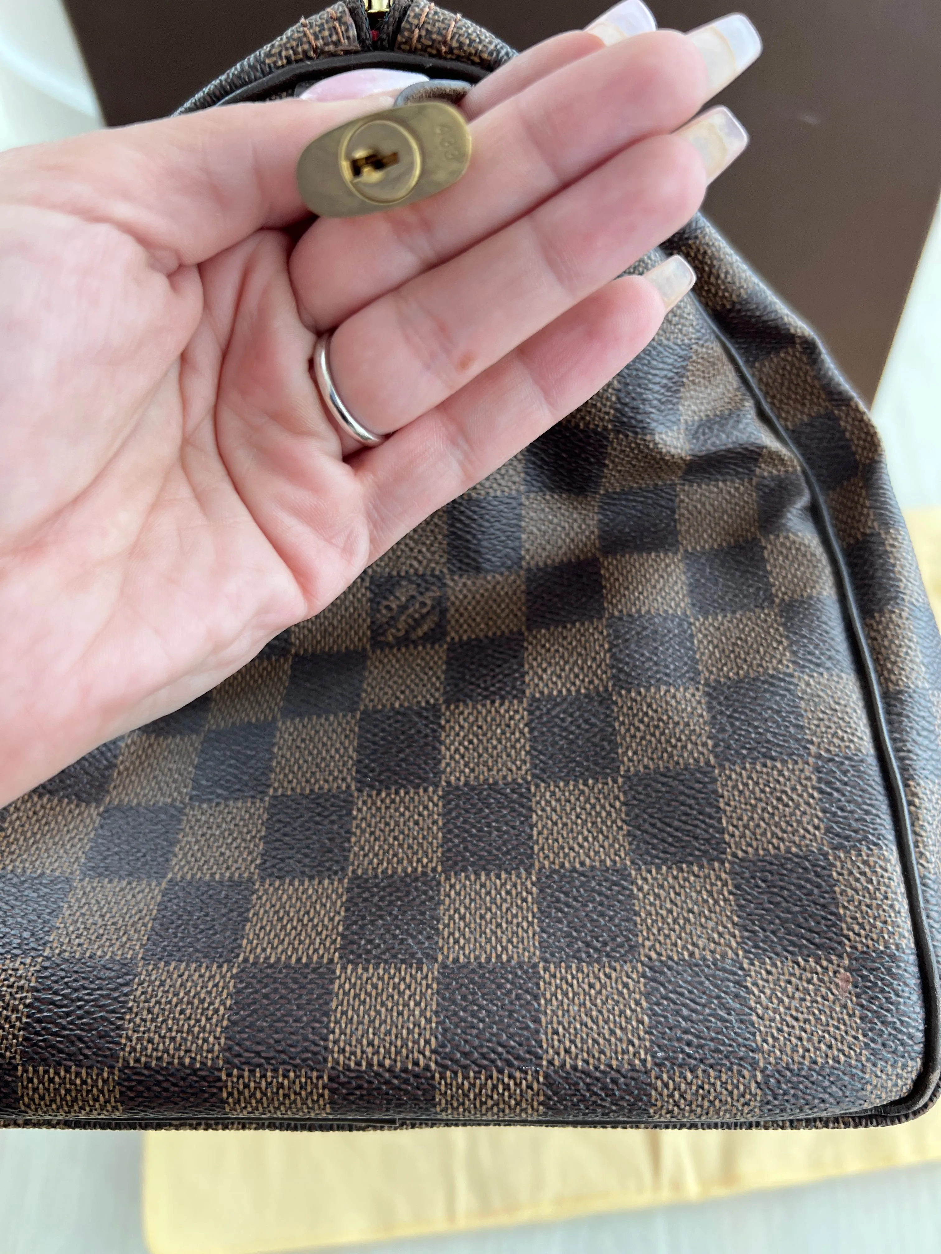 Louis Vuitton Speedy Bag