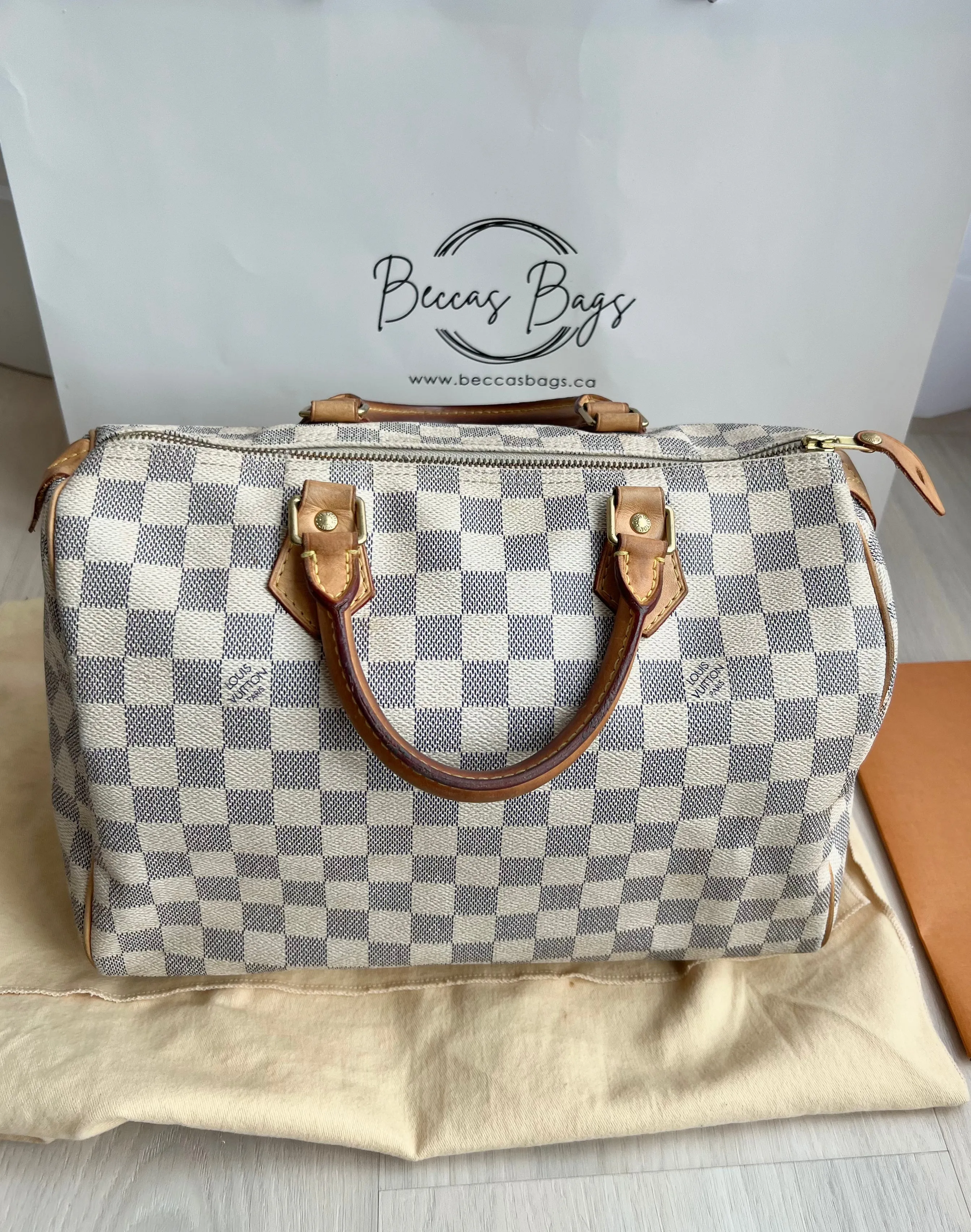 Louis Vuitton Speedy Bag