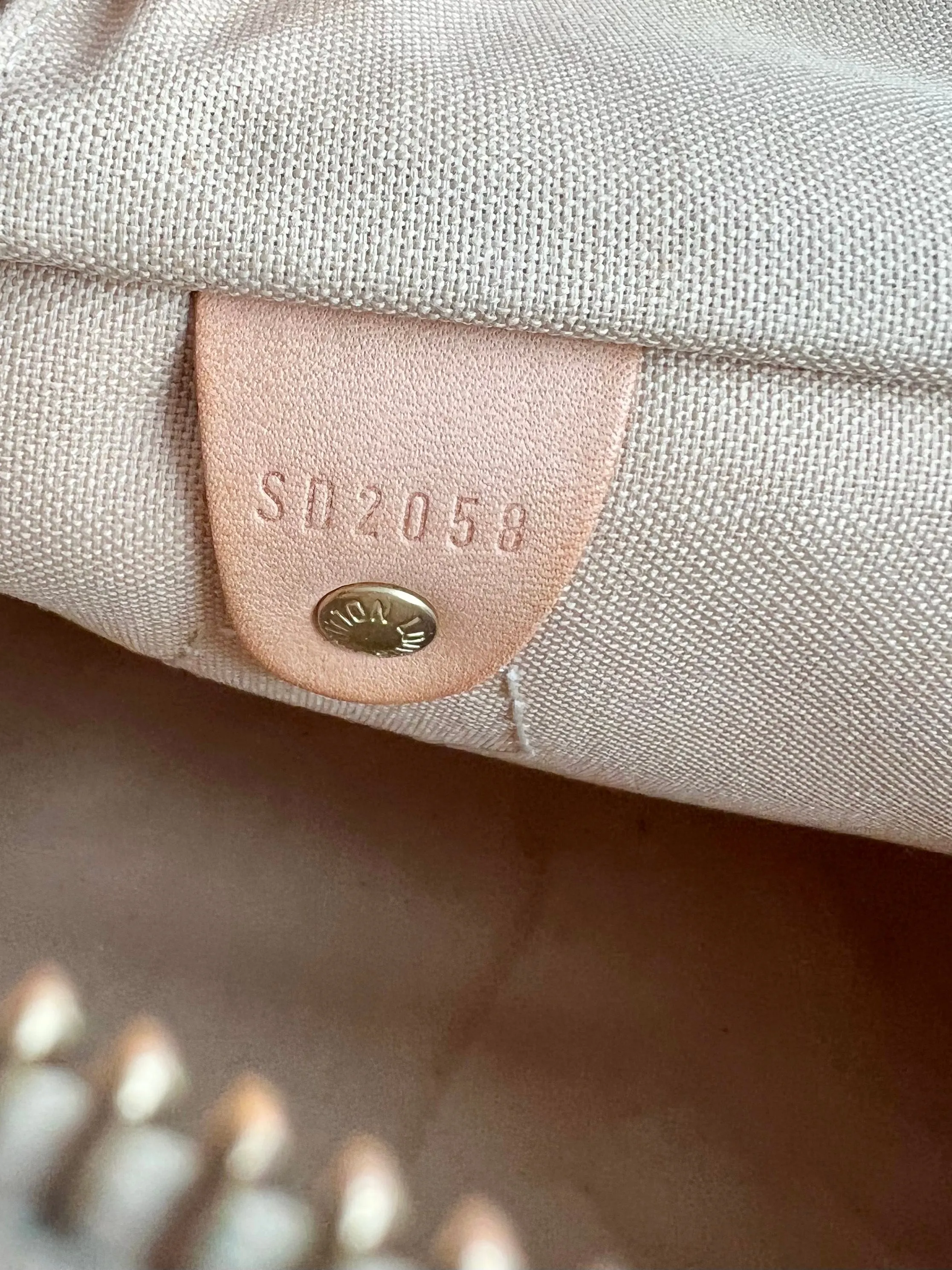 Louis Vuitton Speedy Bag