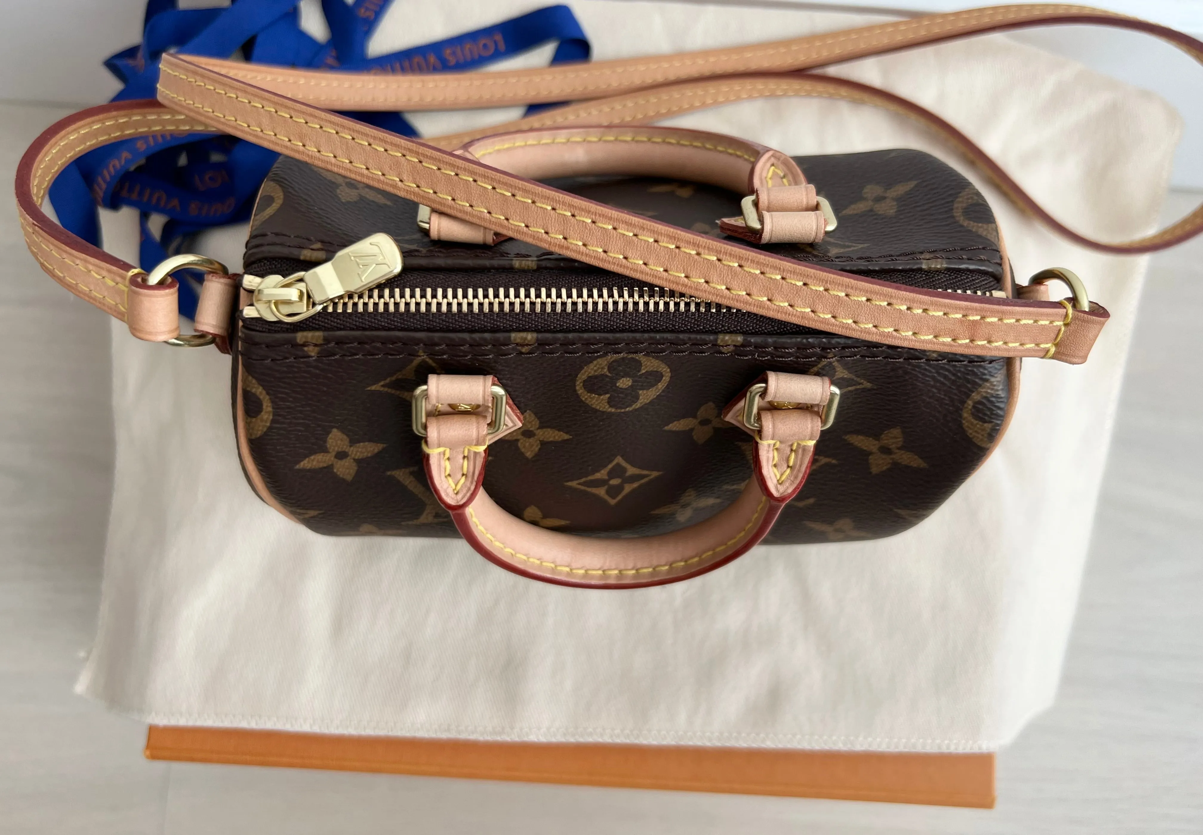 Louis Vuitton Speedy Nano Bag